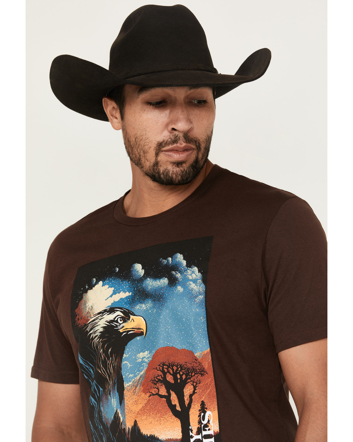 Men's Lookout Eagle Short Sleeve Graphic T-Shirt
