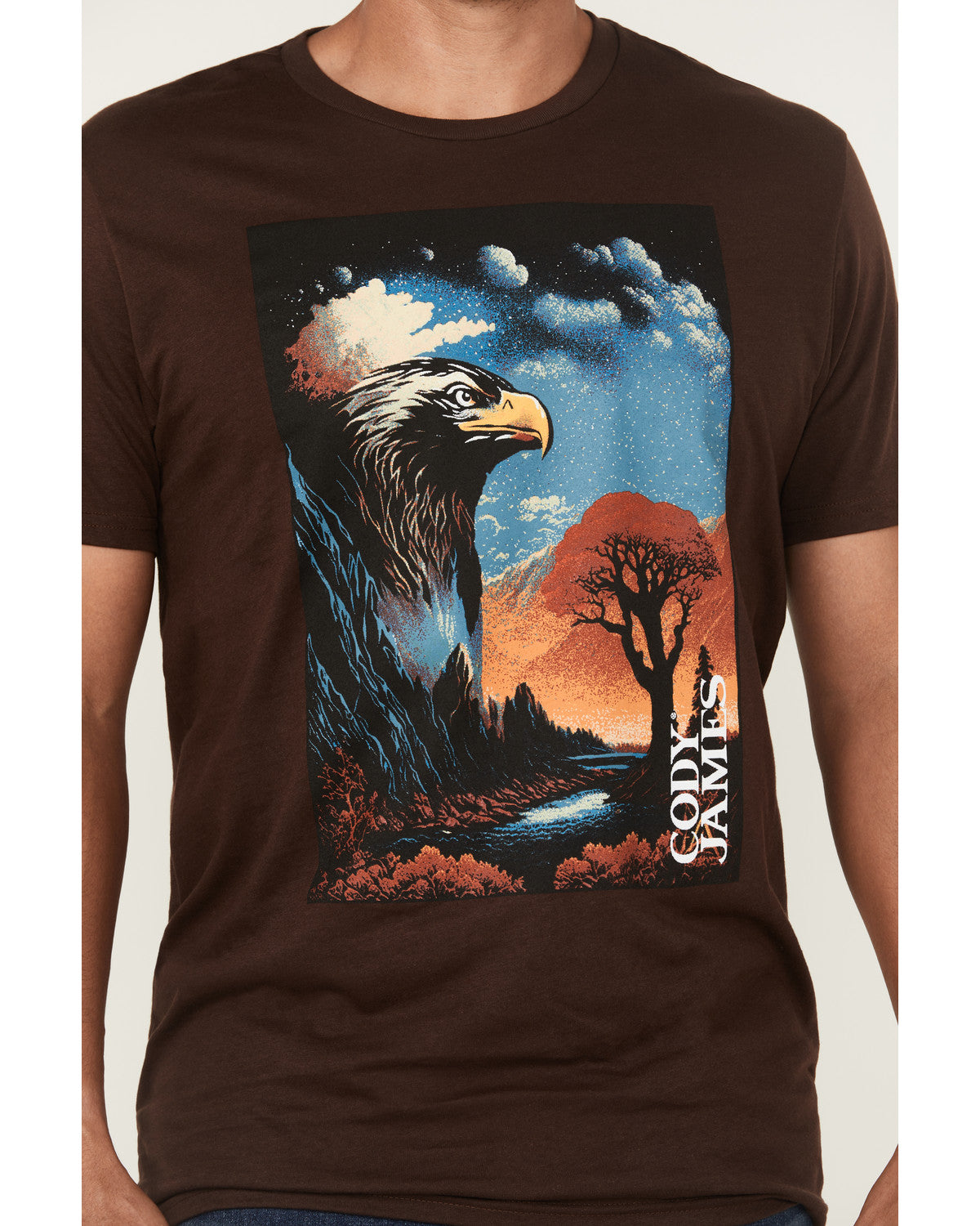 Men's Lookout Eagle Short Sleeve Graphic T-Shirt