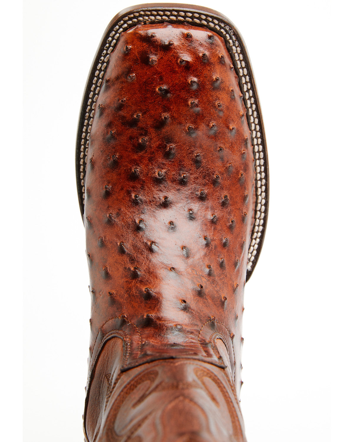 Black 1978® Men's The Hayward Exotic Full Quill Ostrich Wes