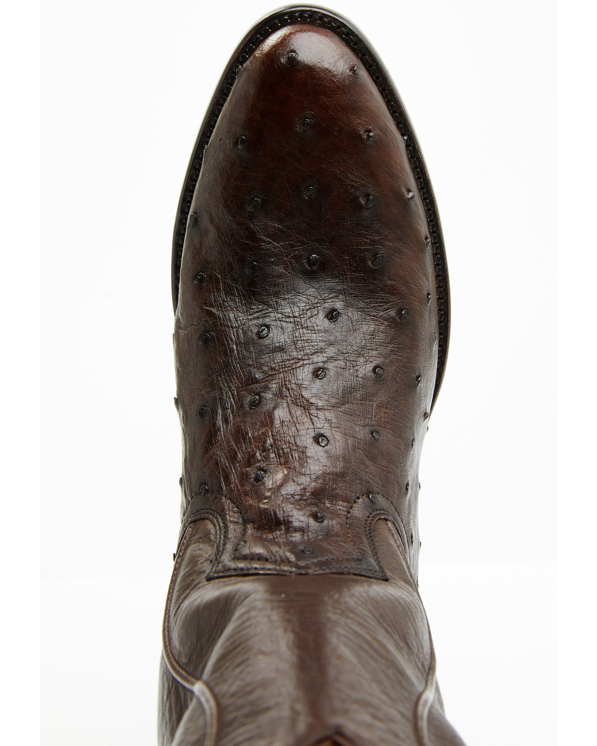 Black 1978® Men's Chapman Exotic Full-Quill Ostrich Western