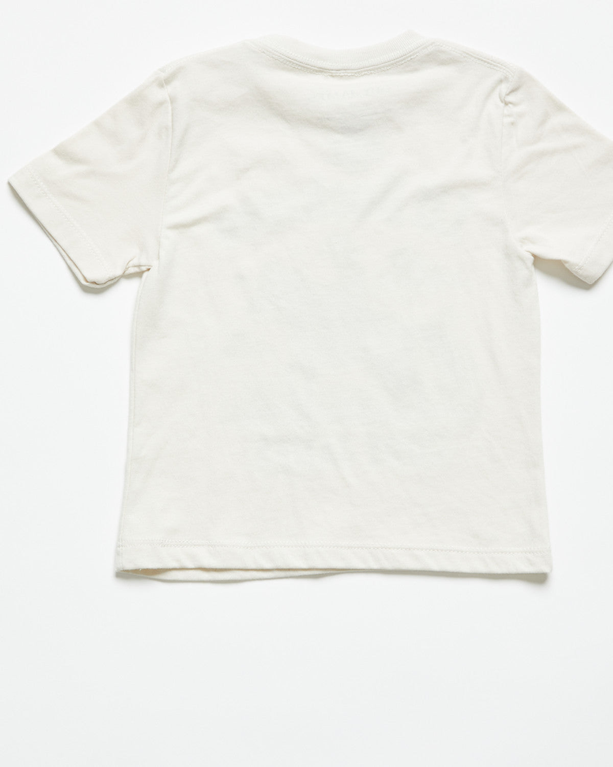 Toddler Boys' Lil Buckaroo Short Sleeve Graphic T-Shirt