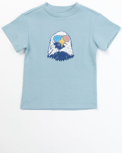 Toddler Boys' USA Shirt and Shorts - 2 Piece Set