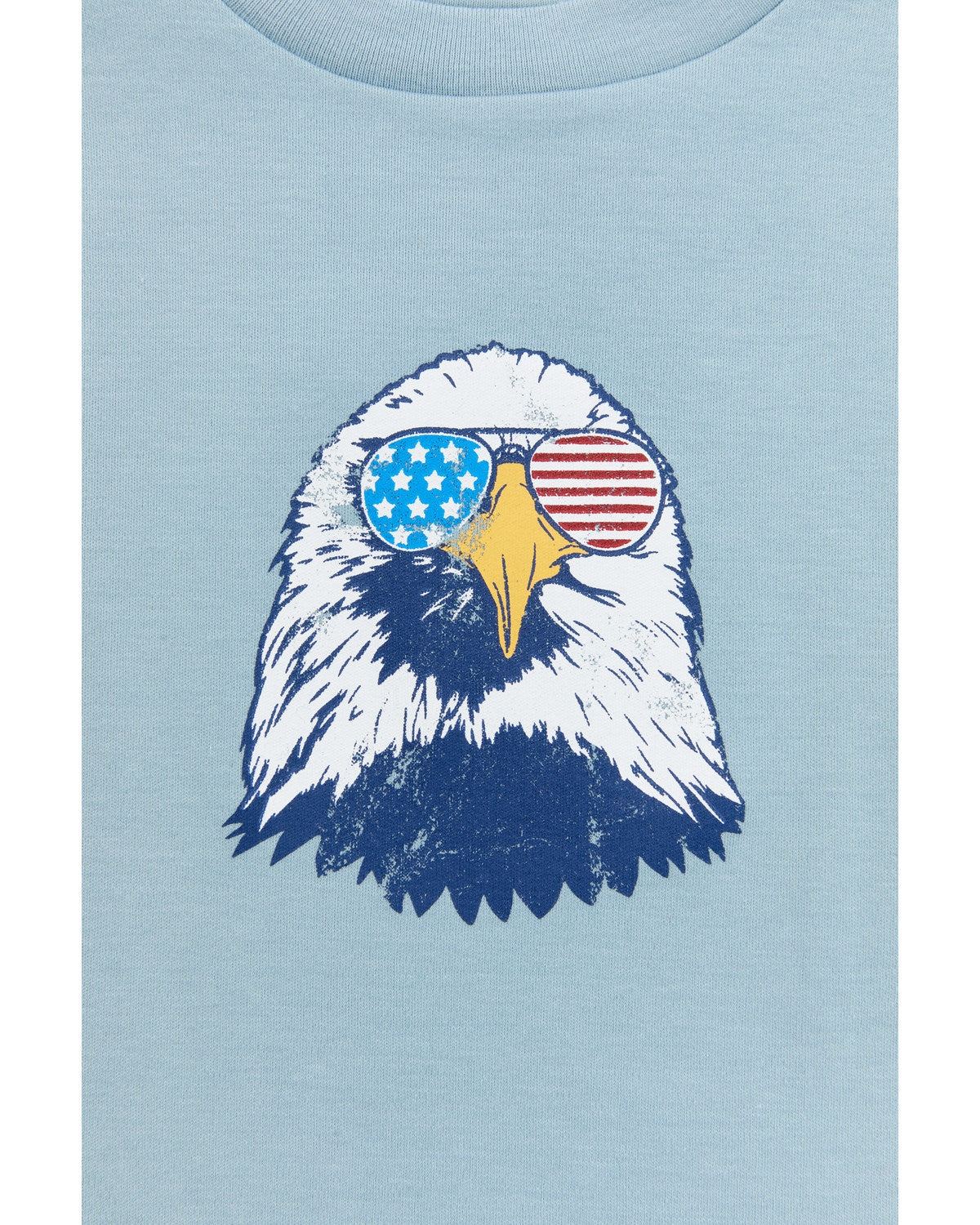 Toddler Boys' USA Shirt and Shorts - 2 Piece Set