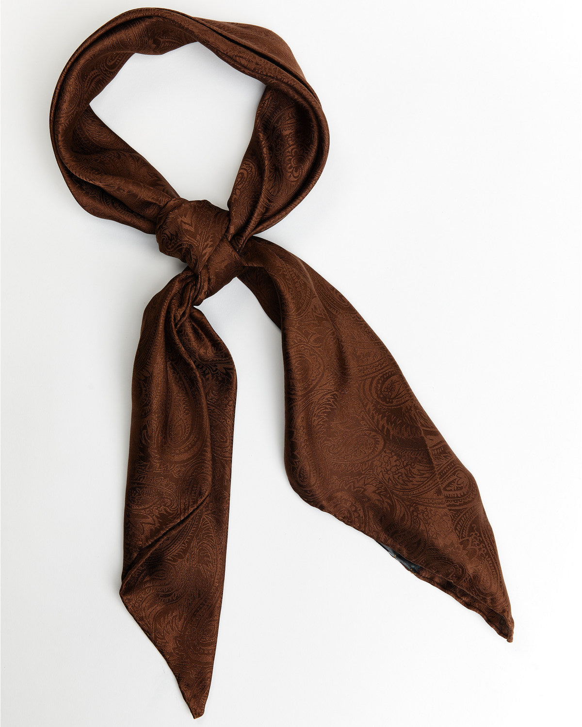 Men's Silk Wild Rag Scarf
