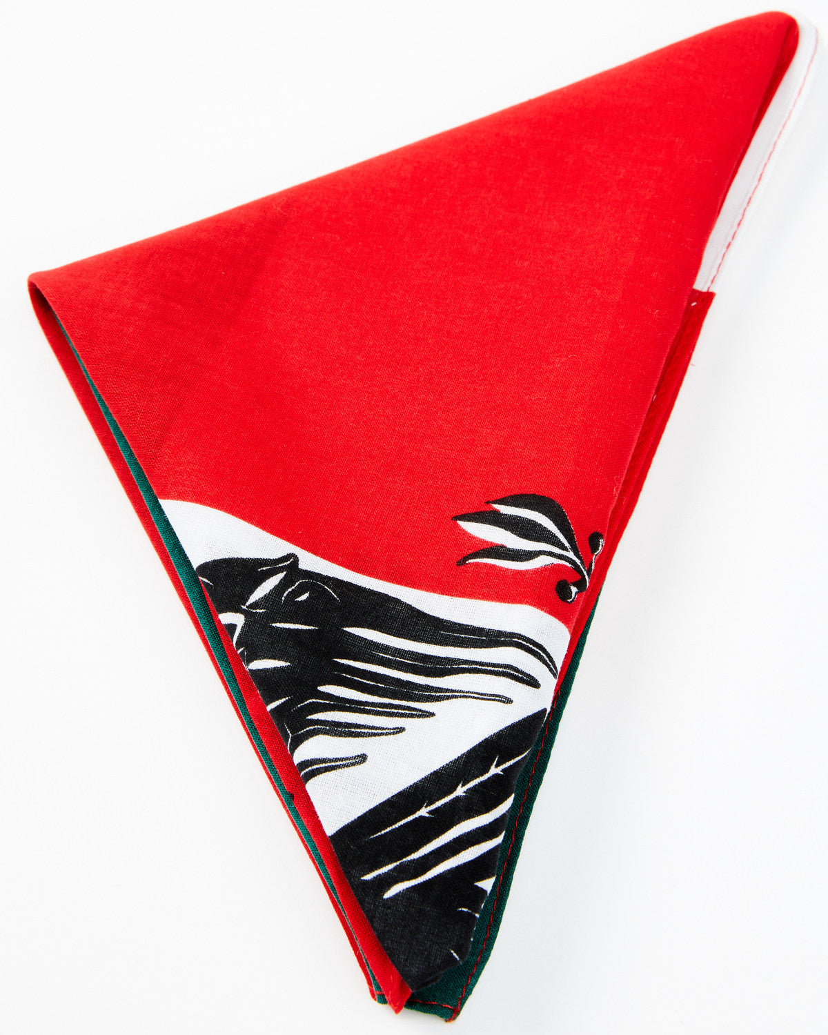 Men's Mexican Flag Bandana