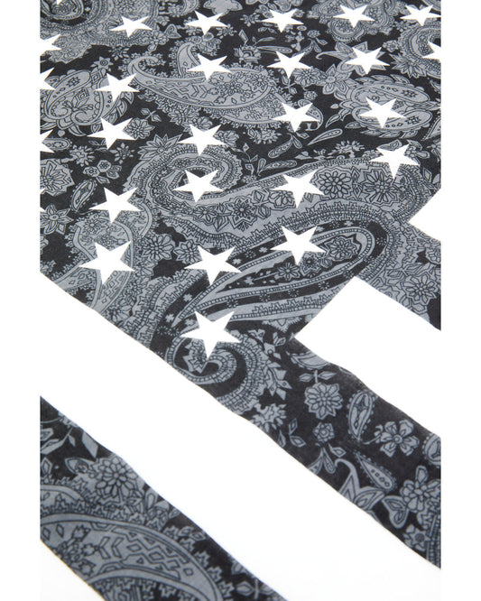 Men's Paisley Americana Flag Bandana