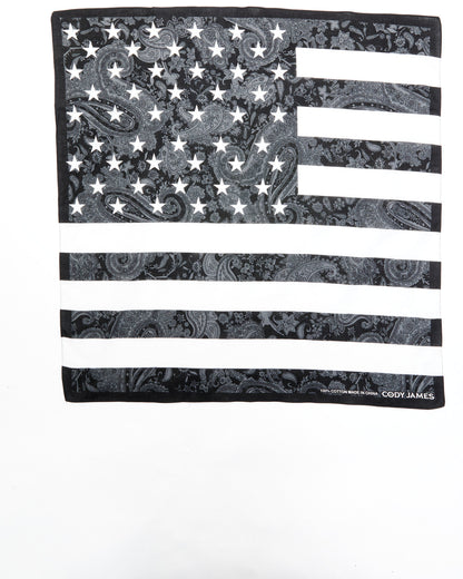 Men's Paisley Americana Flag Bandana