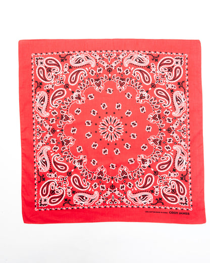 Men's Red Bandana