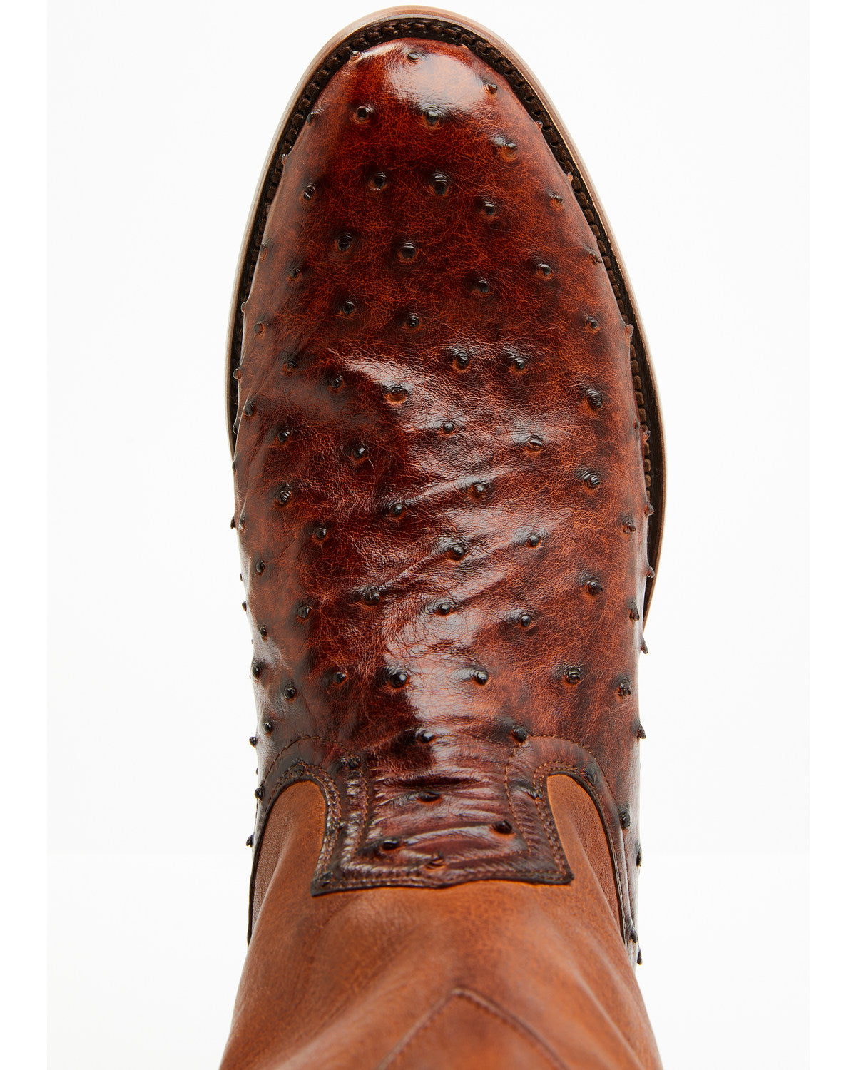 Black 1978® Men's Carmen Exotic Full-Quill Ostrich Roper Bo