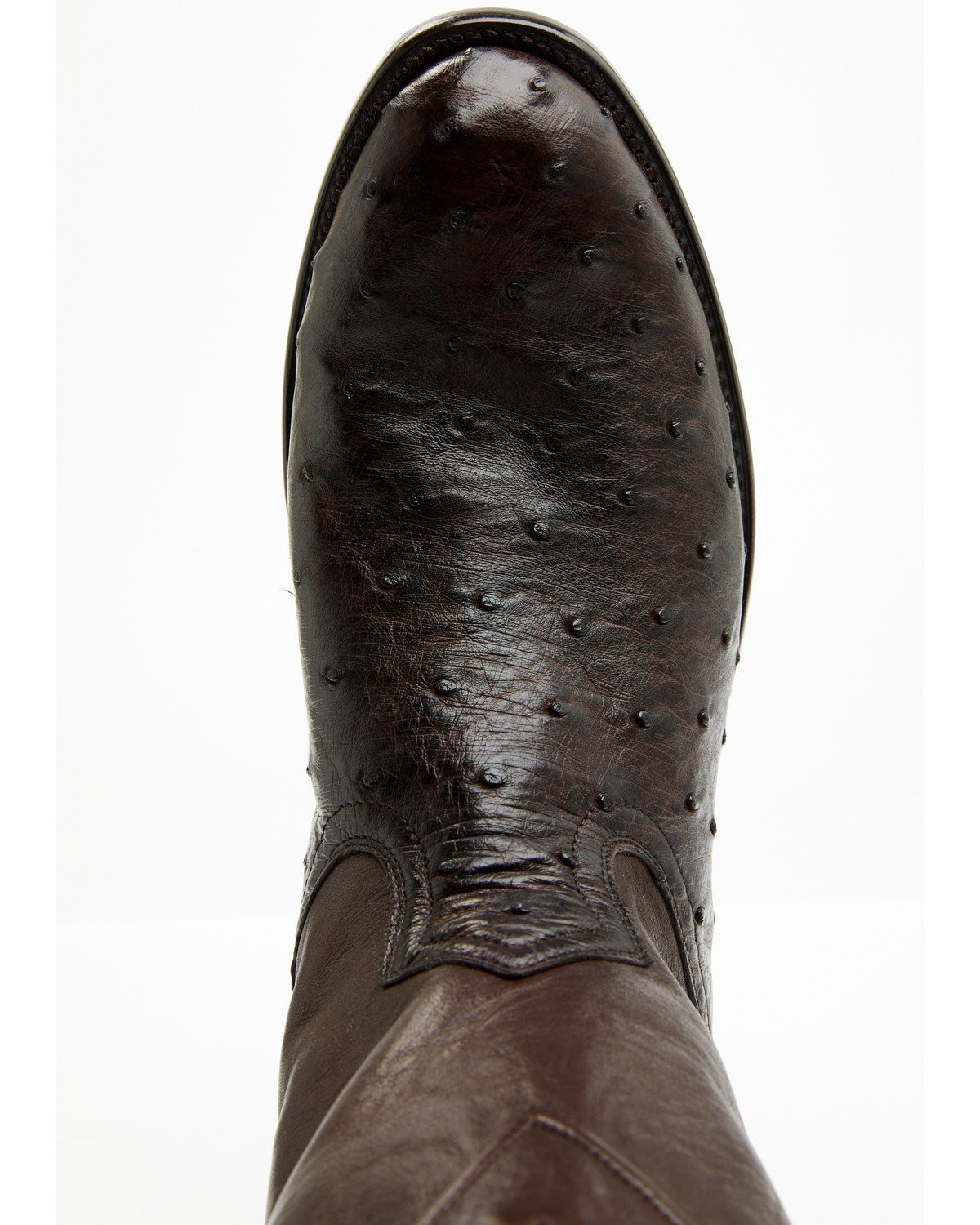 Black 1978® Men's Carmen Exotic Full-Quill Ostrich Roper Bo