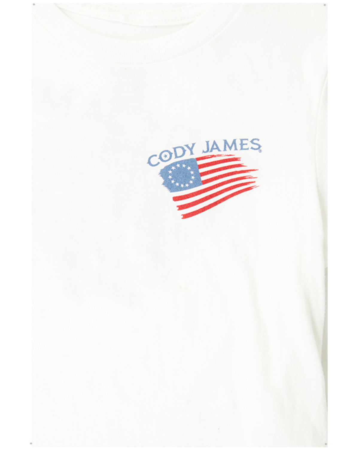 Toddler Boys' Heritage Short Sleeve Graphic T-Shirt