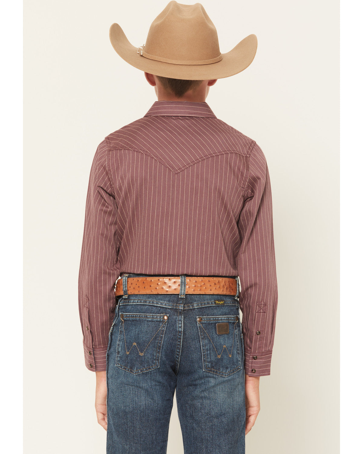 Boys' Everest Peak Striped Print Long Sleeve Snap Western S