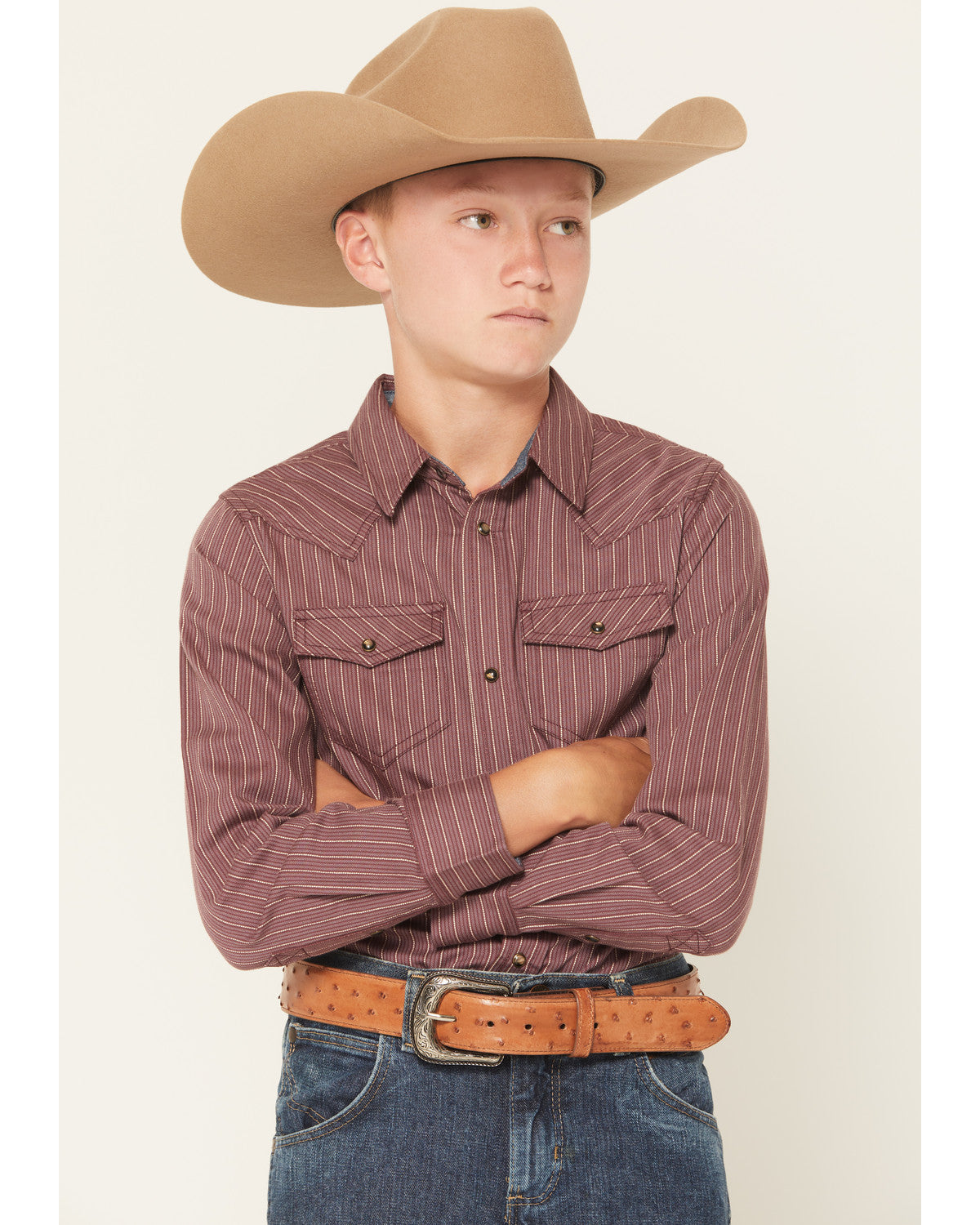 Boys' Everest Peak Striped Print Long Sleeve Snap Western S