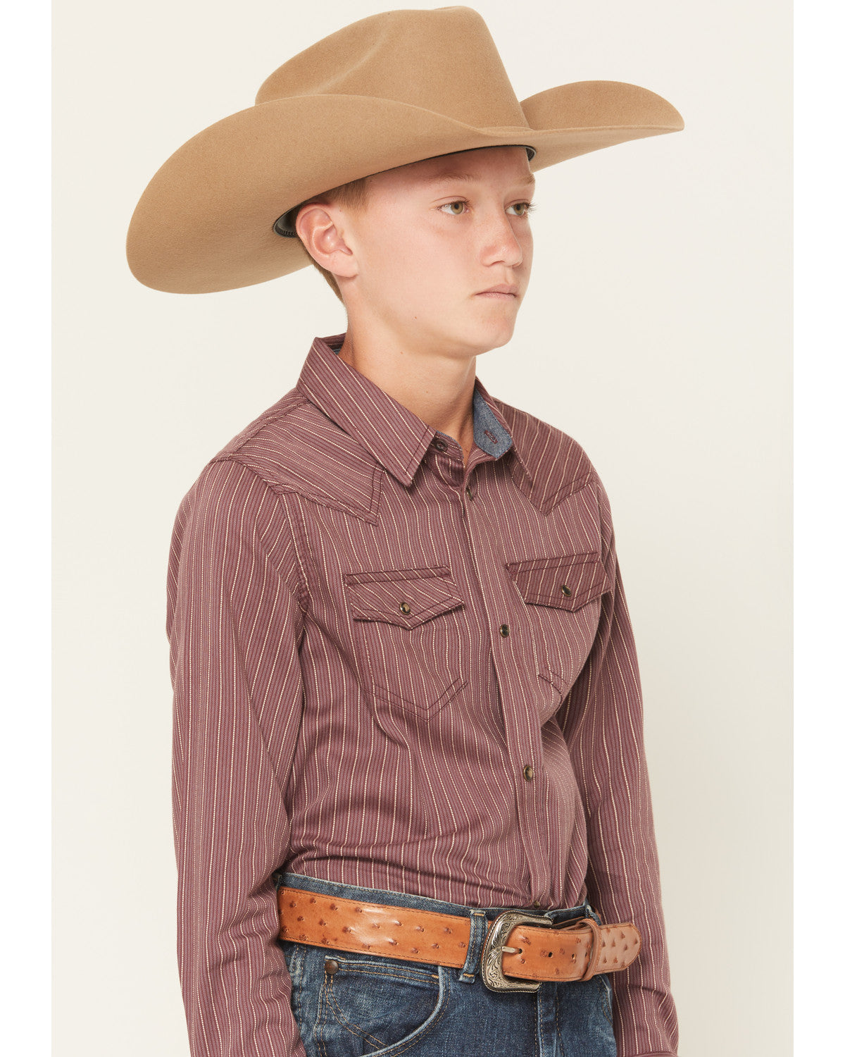 Boys' Everest Peak Striped Print Long Sleeve Snap Western S