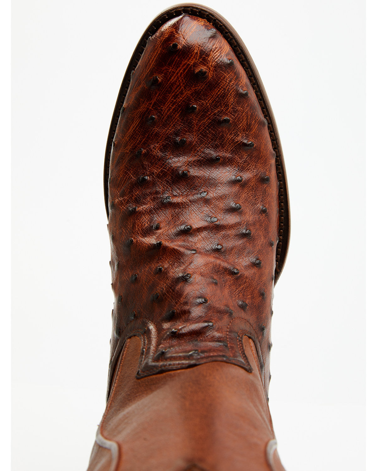 Black 1978® Men's Chapman Exotic Full-Quill Ostrich Western