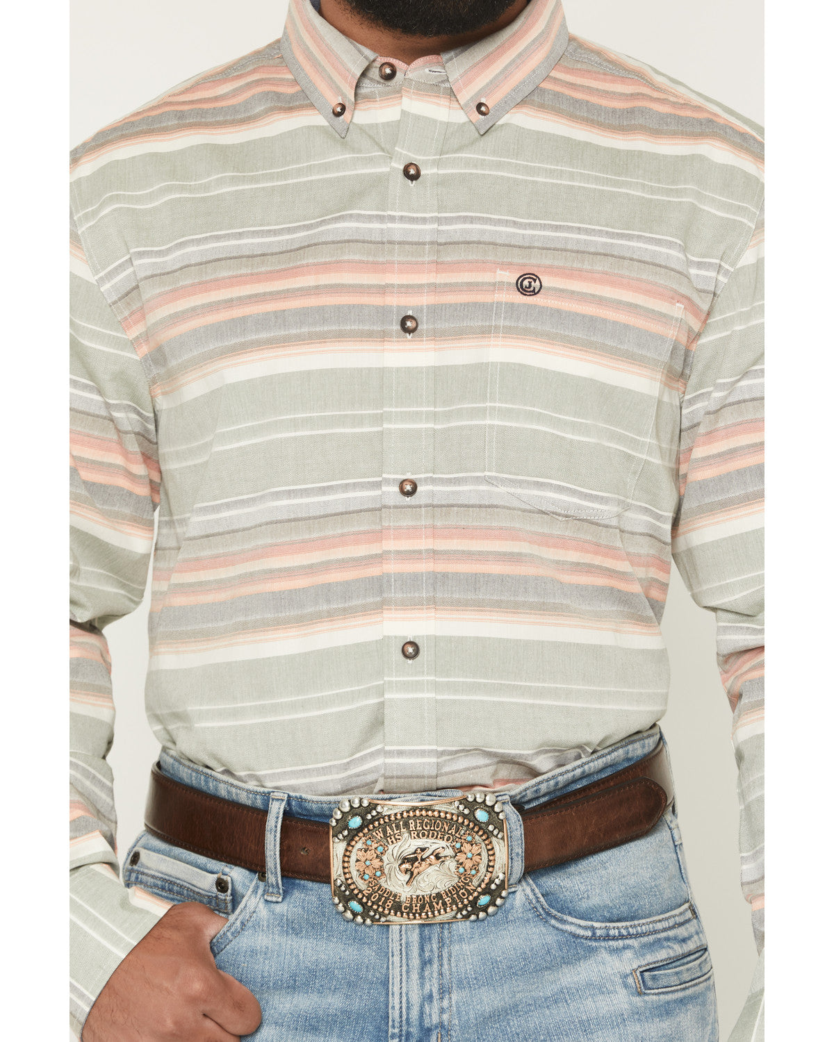Men's Harlan Striped Print Long Sleeve Button-Down Western