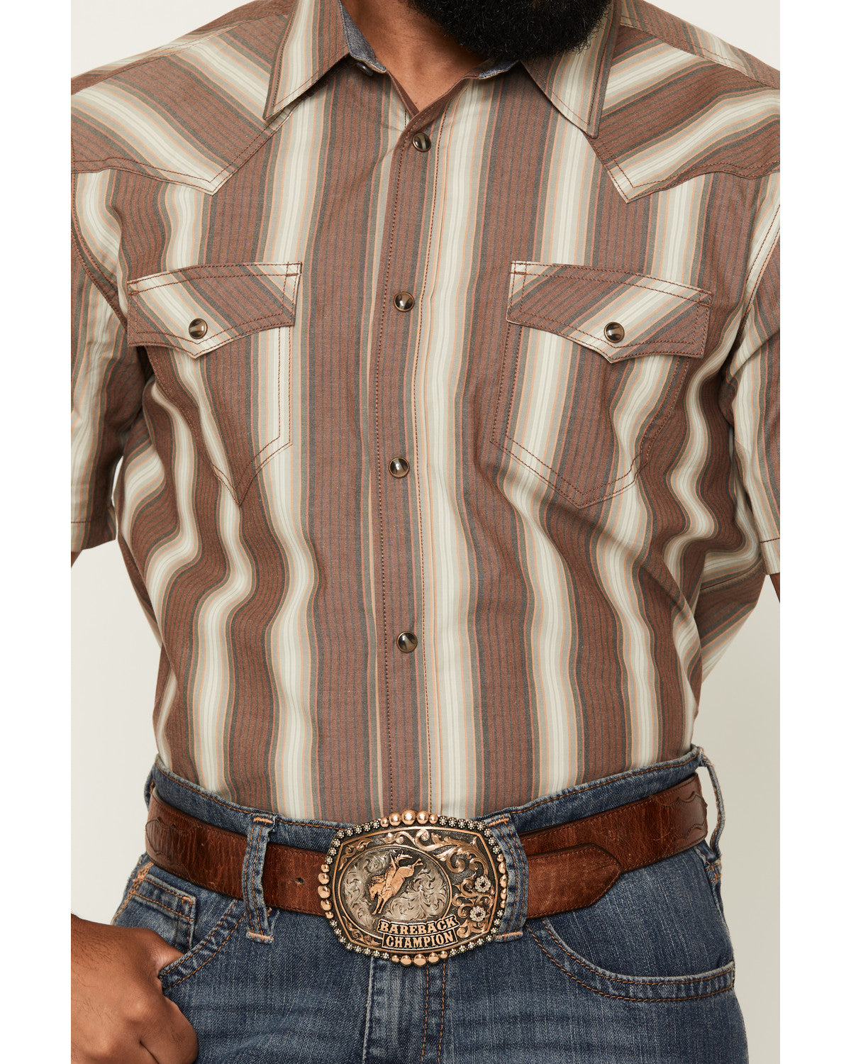Men's Gopher Striped Print Short Sleeve Snap Western Shirt
